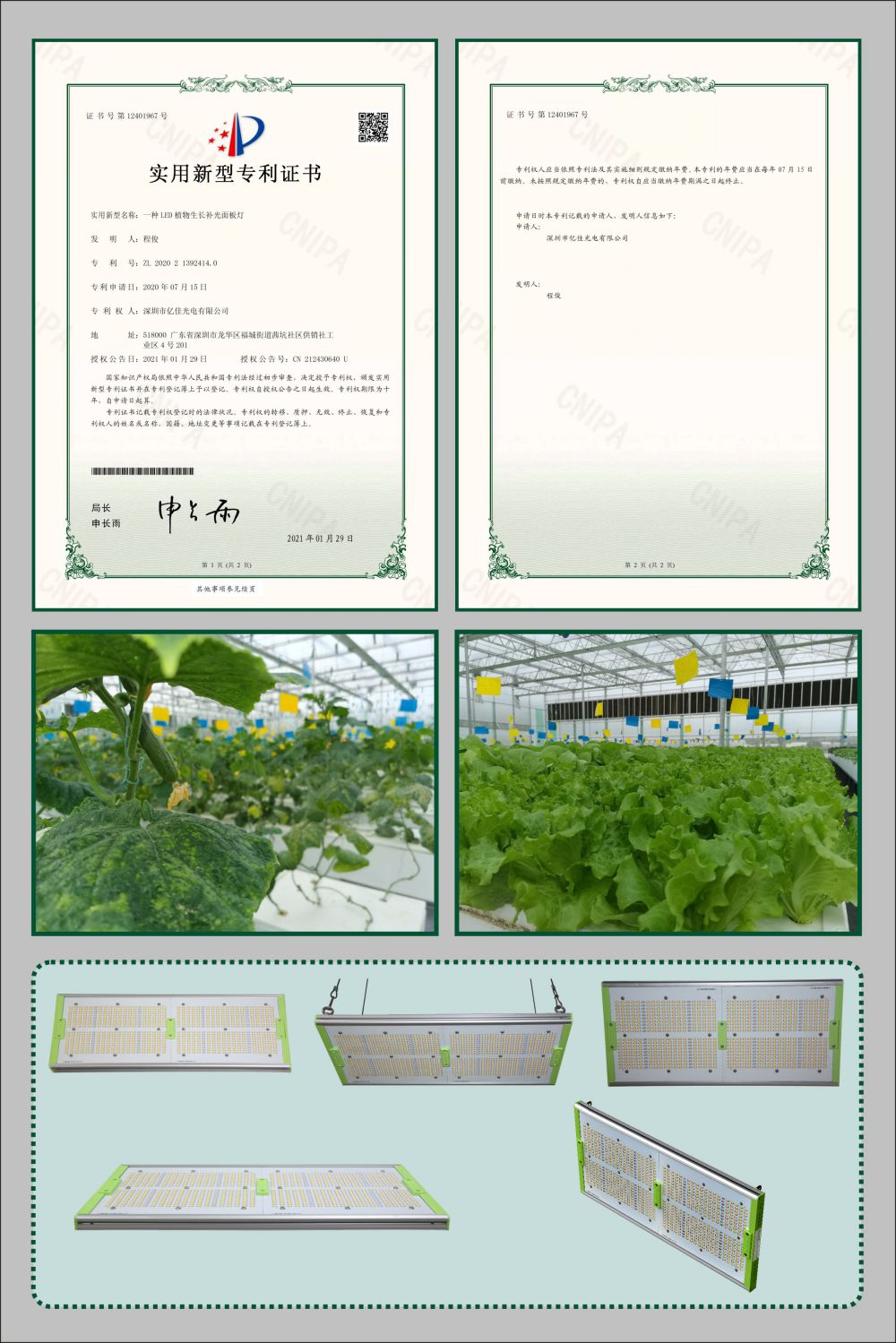 k8凯发植物生长面板灯实用新型专利